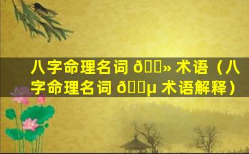 八字命理名词 🌻 术语（八字命理名词 🐵 术语解释）